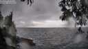 ./images/koeye/fitz-hugh/20250428/fitz-hugh20250428_180012M.jpg