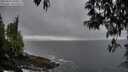./images/koeye/fitz-hugh/20250428/fitz-hugh20250428_200009M.jpg