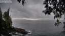 ./images/koeye/fitz-hugh/20250428/fitz-hugh20250428_203008M.jpg