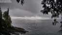 ./images/koeye/fitz-hugh/20250428/fitz-hugh20250428_204508M.jpg