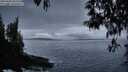 ./images/koeye/fitz-hugh/20250428/fitz-hugh20250428_205506M.jpg