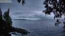 ./images/koeye/fitz-hugh/20250428/fitz-hugh20250428_210009M.jpg