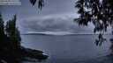 ./images/koeye/fitz-hugh/20250428/fitz-hugh20250428_210509M.jpg