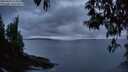 ./images/koeye/fitz-hugh/20250428/fitz-hugh20250428_211007M.jpg