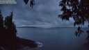 ./images/koeye/fitz-hugh/20250428/fitz-hugh20250428_212009M.jpg
