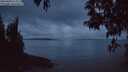 ./images/koeye/fitz-hugh/20250428/fitz-hugh20250428_212509M.jpg