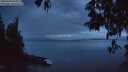 ./images/koeye/fitz-hugh/20250429/fitz-hugh20250429_053009M.jpg