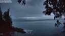 ./images/koeye/fitz-hugh/20250429/fitz-hugh20250429_053509M.jpg