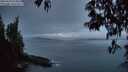 ./images/koeye/fitz-hugh/20250429/fitz-hugh20250429_054007M.jpg
