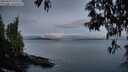./images/koeye/fitz-hugh/20250429/fitz-hugh20250429_055009M.jpg