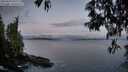 ./images/koeye/fitz-hugh/20250429/fitz-hugh20250429_055508M.jpg