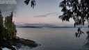 ./images/koeye/fitz-hugh/20250429/fitz-hugh20250429_060009M.jpg