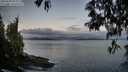 ./images/koeye/fitz-hugh/20250429/fitz-hugh20250429_061010M.jpg