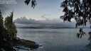 ./images/koeye/fitz-hugh/20250429/fitz-hugh20250429_061509M.jpg