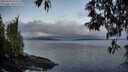 ./images/koeye/fitz-hugh/20250429/fitz-hugh20250429_062510M.jpg