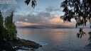 ./images/koeye/fitz-hugh/20250429/fitz-hugh20250429_063010M.jpg