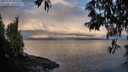 ./images/koeye/fitz-hugh/20250429/fitz-hugh20250429_065510M.jpg