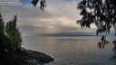 ./images/koeye/fitz-hugh/20250429/fitz-hugh20250429_070510M.jpg