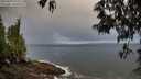 ./images/koeye/fitz-hugh/20250429/fitz-hugh20250429_072509M.jpg
