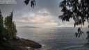 ./images/koeye/fitz-hugh/20250429/fitz-hugh20250429_074509M.jpg