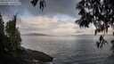 ./images/koeye/fitz-hugh/20250429/fitz-hugh20250429_075009M.jpg