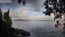 ./images/koeye/fitz-hugh/20250429/fitz-hugh20250429_075510M.jpg