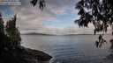 ./images/koeye/fitz-hugh/20250429/fitz-hugh20250429_080012M.jpg