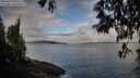 ./images/koeye/fitz-hugh/20250429/fitz-hugh20250429_080507M.jpg