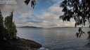 ./images/koeye/fitz-hugh/20250429/fitz-hugh20250429_081011M.jpg