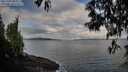 ./images/koeye/fitz-hugh/20250429/fitz-hugh20250429_082011M.jpg