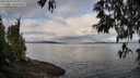 ./images/koeye/fitz-hugh/20250429/fitz-hugh20250429_085011M.jpg