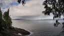 ./images/koeye/fitz-hugh/20250429/fitz-hugh20250429_090012M.jpg
