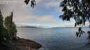 ./images/koeye/fitz-hugh/20250429/fitz-hugh20250429_094010M.jpg