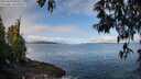./images/koeye/fitz-hugh/20250429/fitz-hugh20250429_094511M.jpg