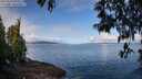 ./images/koeye/fitz-hugh/20250429/fitz-hugh20250429_095011M.jpg