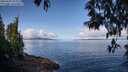 ./images/koeye/fitz-hugh/20250429/fitz-hugh20250429_101010M.jpg
