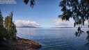 ./images/koeye/fitz-hugh/20250429/fitz-hugh20250429_101511M.jpg