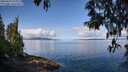 ./images/koeye/fitz-hugh/20250429/fitz-hugh20250429_102010M.jpg