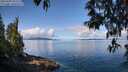 ./images/koeye/fitz-hugh/20250429/fitz-hugh20250429_102510M.jpg