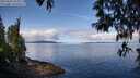 ./images/koeye/fitz-hugh/20250429/fitz-hugh20250429_104011M.jpg