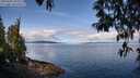 ./images/koeye/fitz-hugh/20250429/fitz-hugh20250429_104509M.jpg