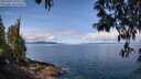 ./images/koeye/fitz-hugh/20250429/fitz-hugh20250429_105510M.jpg