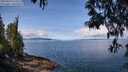 ./images/koeye/fitz-hugh/20250429/fitz-hugh20250429_110510M.jpg