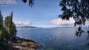 ./images/koeye/fitz-hugh/20250429/fitz-hugh20250429_111010M.jpg