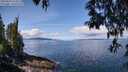 ./images/koeye/fitz-hugh/20250429/fitz-hugh20250429_112010M.jpg