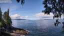 ./images/koeye/fitz-hugh/20250429/fitz-hugh20250429_112509M.jpg