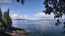 ./images/koeye/fitz-hugh/20250429/fitz-hugh20250429_113011M.jpg