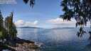 ./images/koeye/fitz-hugh/20250429/fitz-hugh20250429_113510M.jpg