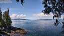 ./images/koeye/fitz-hugh/20250429/fitz-hugh20250429_114010M.jpg