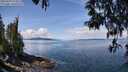 ./images/koeye/fitz-hugh/20250429/fitz-hugh20250429_114511M.jpg